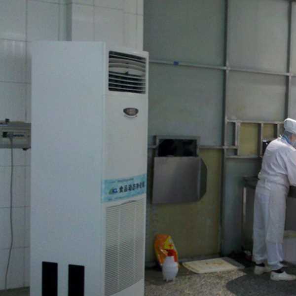 丽水食品正负离子空气杀菌器